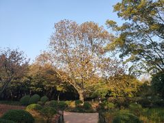 -八大关景区