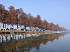 -东湖磨山景区