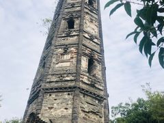 -上海佘山国家森林公园天马山园