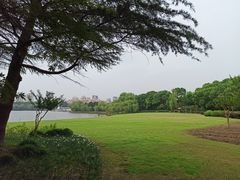 -黄兴公园