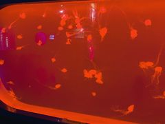 -多彩贵州城极地海洋世界