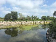 -红山国家森林公园