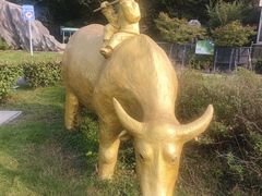 -南京金牛湖风景区