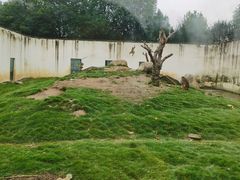 -武汉紫薇都市田园