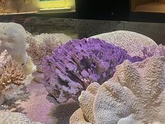 -抱抱地球咖啡馆(国家海洋博物馆店)