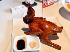 -侨美·唐荔园·40年地道粤菜