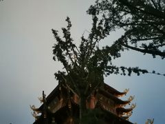 -龙潭水乡