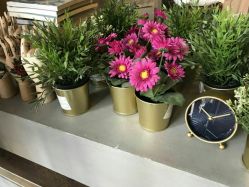 -鳌首刺青纹身 穿孔饰品店