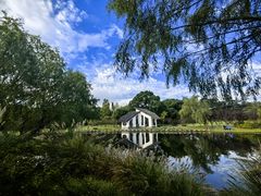 -上海共青森林公园