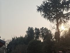 -大慈恩寺(大雁塔)
