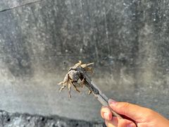 -滴水湖