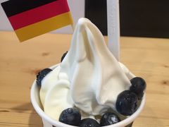 -JW德国冻酸奶Frozen Yogurt(龙湖成都滨江天街店)