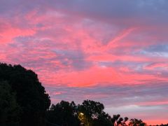 -呼吸森林·生态农庄农家乐私房菜