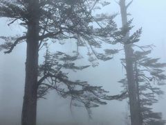 -瓦屋山景区