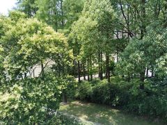 -陈家山荷花公园