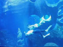 -多彩贵州城极地海洋世界