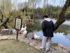 -四海楼(如皋定慧禅寺店)