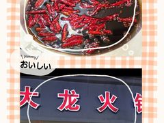 -大龙火锅(老店)
