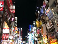 -东京塔海贼王主题公园