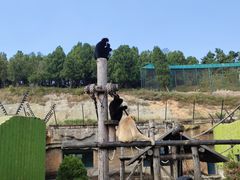 -大连森林动物园