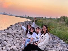 -合肥滨湖国家森林公园