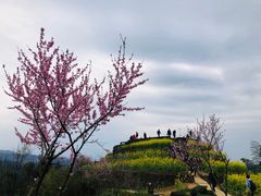 -石潭村