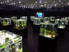 -邯郸海洋世界