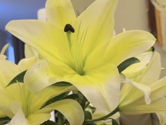 -象泰SPA·泰式按摩·足疗(卓悦中心店)