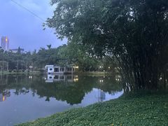 -晓港公园