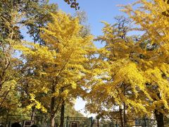 -辽宁大学(崇山校区)