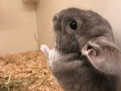 -龙猫仔乐园(惠福东路店)