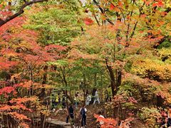 -本溪老边沟风景区