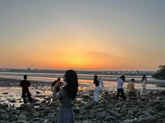 -宝安西湾红树林湿地公园