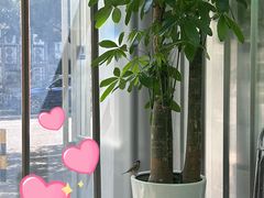 -ALPHA COFFEE阿尔法咖啡(虹莘路店)