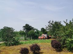 -武汉紫薇都市田园