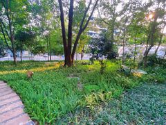 -成都市活水公园