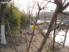 -白塘生态植物园