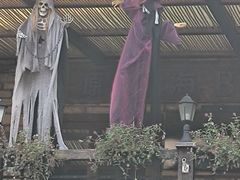 -Big Bamboo 大竹子体育主题餐厅(虹梅路店)