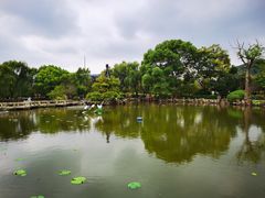 -司徒庙