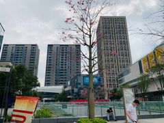 -广州绿地中央广场