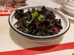 夏日凉菜-虾饺妹·酒家(海珠广场店)