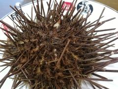 -抹直口特色菜馆(一店)