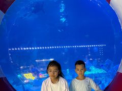 -烟台海昌鲸鲨海洋公园