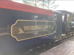 -莫尔道嘎国家森林公园