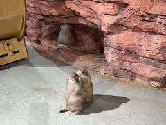 -正佳雨林生态植物园