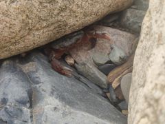 -雅鲁激流探险漂流