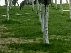 -艾溪湖湿地公园