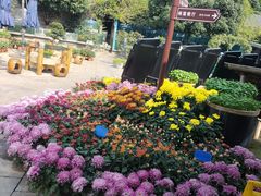 -天怡·鱼工厂(临江店)