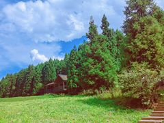 -武陵山森林公园