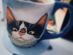 -喵的天空名猫咖啡馆·撸猫·猫舍·用品